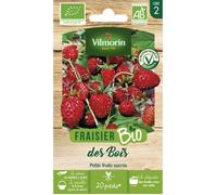 Vilmorin - Sachet graines Fraisier des Bois BIO - Fragaria vesca