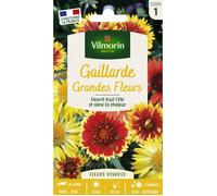 Graines - Vilmorin - Gaillarde Grandes Fleurs