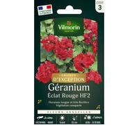 Vilmorin 5464043 Géranium, Rouge