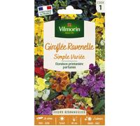 Graines - Vilmorin - Giroflée Ravenelle Simple Variée
