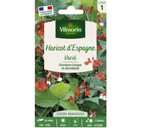 Vilmorin Jardin Haricot Espagne Varie Serie 1