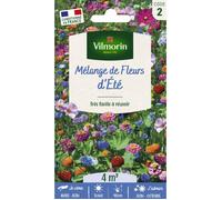 Graines - Vilmorin - Jolies Fleurs d'Eté - 4 m² - Mélange de fleurs