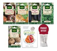 Graines - Vilmorin - Kit semis de légumes anciens + 12 étiquettes de marquage offertes