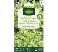 Vilmorin 3609341 Laitue Vert 9 x 0,5 x 16 cm