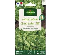 Graines - Vilmorin - Laitue Batavia Great Lakes 119
