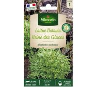 Graines - Vilmorin - Laitue Batavia Reine des Glaces - Légumes d'Autrefois