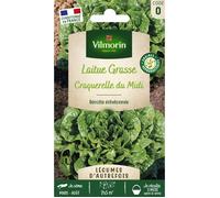 Graines - Vilmorin - Laitue Craquerelle du Midi - Légumes d'Autrefois
