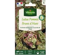 Graines - Vilmorin - Laitue d'Hiver Brune d'Hiver
