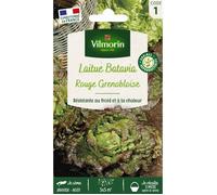 Vilmorin Laitue Rouge Grenobloise | Précoce, Rouge, Fine, Croquante, Nutritive, Récolte dès mars