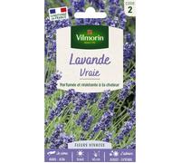 Graines - Vilmorin - Lavande Vraie