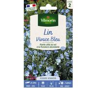 Lin Bleu