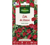 VILMORIN Lin de Venise rouge