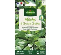 Graines - Vilmorin - Mâche à Grosse Graine