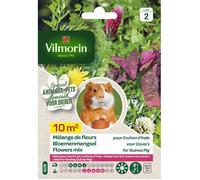 Graines - Vilmorin - Mélange de fleurs pour Cochons d'Inde