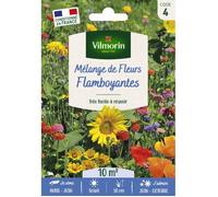 Graines - Vilmorin - Mélange Flamboyant - 10 m² - Mélange de fleurs
