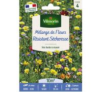 Graines - Vilmorin - Mélange Résistant Sécheresse - 10 m² - Mélange de fleurs