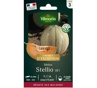 Graines - Vilmorin - Melon Stellio HF1 - Graines d'Exception