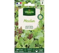 Vilmorin 3680042 Mesclun Vert/Rouge 9 x 0,5 x 16 cm