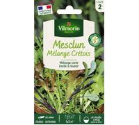 Graines - Vilmorin - Mesclun Crétois en mélange
