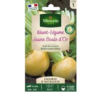 Vilmorin Jardin - Navet Jaune Double Or Ser1
