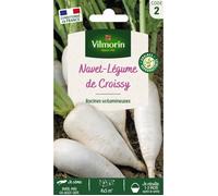 Graines - Vilmorin - Navet-Légume Demi-Long de Croissy