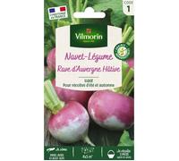 Graines - Vilmorin - Navet-Légume Rave d'Auvergne Hâtive