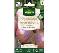 Vilmorin – Sachet de graines Oignon rouge Morada d'Amposta