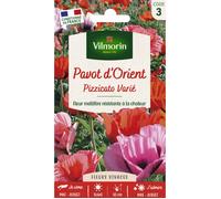Graines - Vilmorin - Pavot Pizzicato Varié
