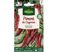 Graines - Vilmorin - Piment de Cayenne