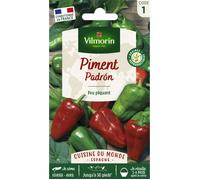 Graines - Vilmorin - Poivron Padrón - Cuisine du Monde