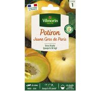 Vilmorin – Graines de potiron – Potiron Jaune Gros de Paris
