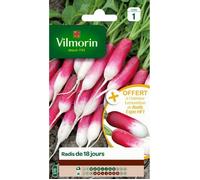 Vilmorin Radis de 18 jours - avec échantillon radis
