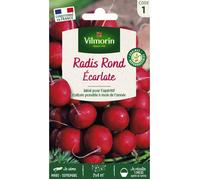 Graines - Vilmorin - Radis Rond Ecarlate