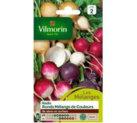 Graines - Vilmorin - Radis ronds - Mélange de couleurs