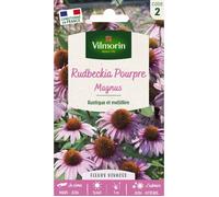 Graines - Vilmorin - Rudbeckia Pourpre Magnus