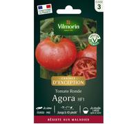Graines - Vilmorin - Tomate Agora F1 - Graines d'Exception