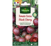 Tomate Black Cherry