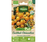 Vilmorin – Tomate Clémentine Bio – VL 2