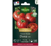 Graines - Vilmorin - Tomate Dona - Graines d'Exception