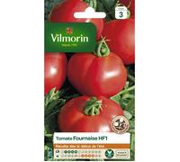 Graines - Vilmorin - Tomate Fournaise HF1