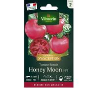 Graines - Vilmorin - Tomate Honey Moon F1 - Graines d' Exception