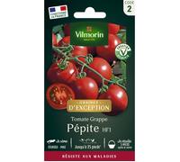 Graines - Vilmorin - Tomate Pépite F1 - Graines d' Exception