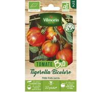Graines - Vilmorin - Tomate Tigerella Bicolore - BIO