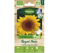 Vilmorin - Sachet de graines Tournesol Royal Nain BIO