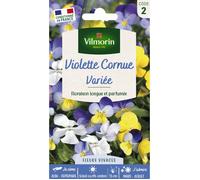 Vilmorin – Viola Cornuta Mix variée