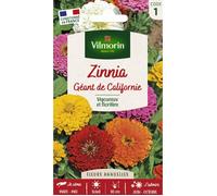 Graines - Vilmorin - Zinnia géant de Californie mix