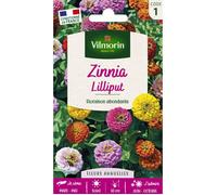 Graines - Vilmorin - Zinnia Nain Lilliput