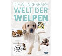 DIE WUNDERBARE WELT DER WELPEN - GRAINGER,GREG +++ DVD NEUF