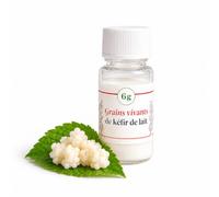 Grains vivants: Kéfir de lait naturel fait maison (6g+notice électronique) | Formule écologique : notice électronique, grains réutilisables à vie et économiques.