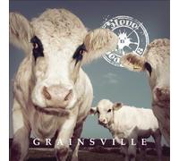 Grainsville by Steve 'n' Seagulls [Audio CD] NEUF